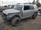 2010 Toyota FJ Cruiser