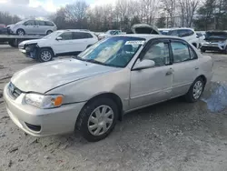 Toyota Corolla ce salvage cars for sale: 2001 Toyota Corolla CE