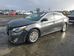 Salvage cars for sale at auction: 2015 Toyota Avalon Hybrid