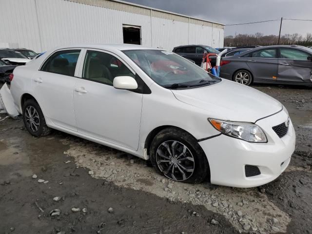 2009 Toyota Corolla Base