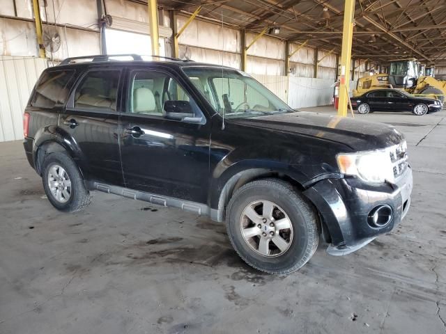 2009 Ford Escape Limited