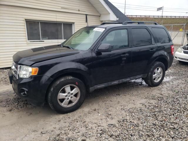 2009 Ford Escape XLT