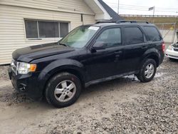 Salvage cars for sale at Northfield, OH auction: 2009 Ford Escape XLT