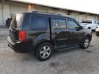 2010 Honda Pilot EXL