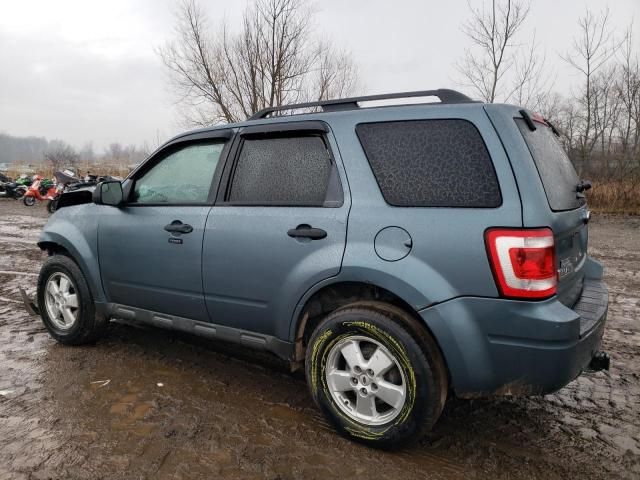 2012 Ford Escape XLT