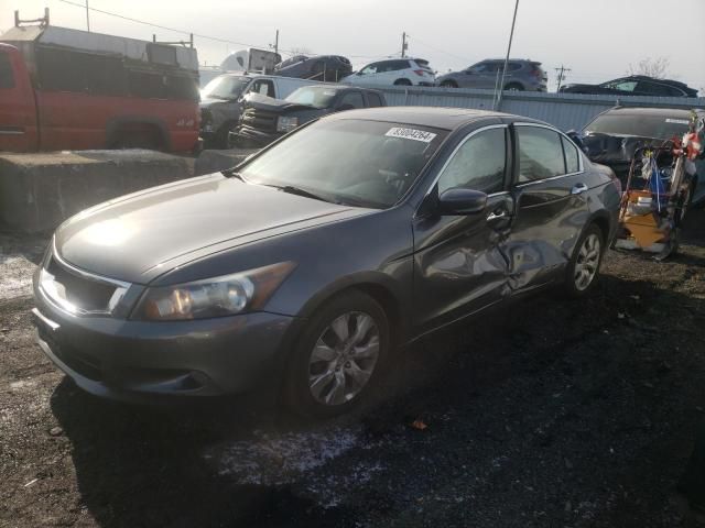 2008 Honda Accord EXL