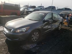 Honda salvage cars for sale: 2008 Honda Accord EXL