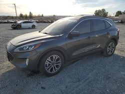 2020 Ford Escape SEL en venta en Mentone, CA