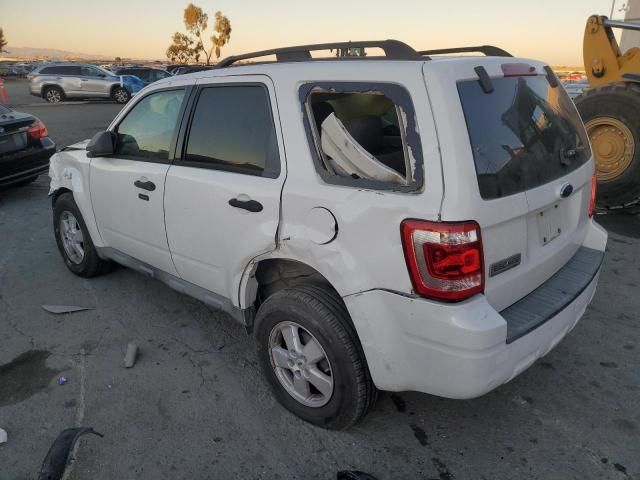 2009 Ford Escape XLT