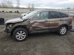 Honda salvage cars for sale: 2009 Honda CR-V EXL