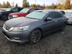 Honda salvage cars for sale: 2013 Honda Accord Sport