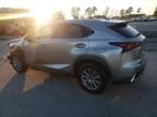 2021 Lexus NX 300H Base