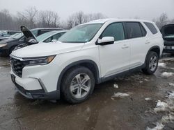 Salvage cars for sale from Copart Marlboro, NY: 2025 Honda Pilot EXL