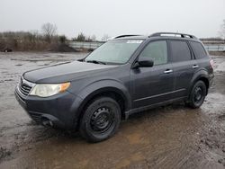 Salvage cars for sale from Copart Columbia Station, OH: 2009 Subaru Forester 2.5X Premium