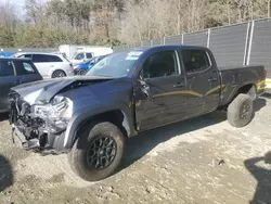 2023 Toyota Tacoma Double Cab en venta en Waldorf, MD