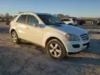 2006 Mercedes-Benz ML 500