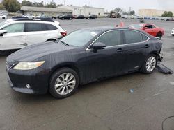 Salvage cars for sale at Martinez, CA auction: 2013 Lexus ES 300H