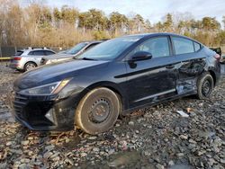 2019 Hyundai Elantra SE en venta en Waldorf, MD