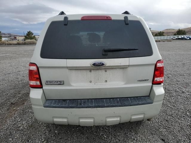 2009 Ford Escape XLT