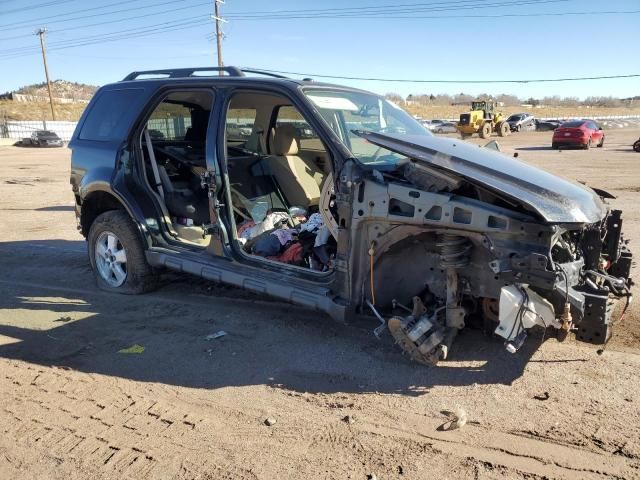 2010 Ford Escape XLT