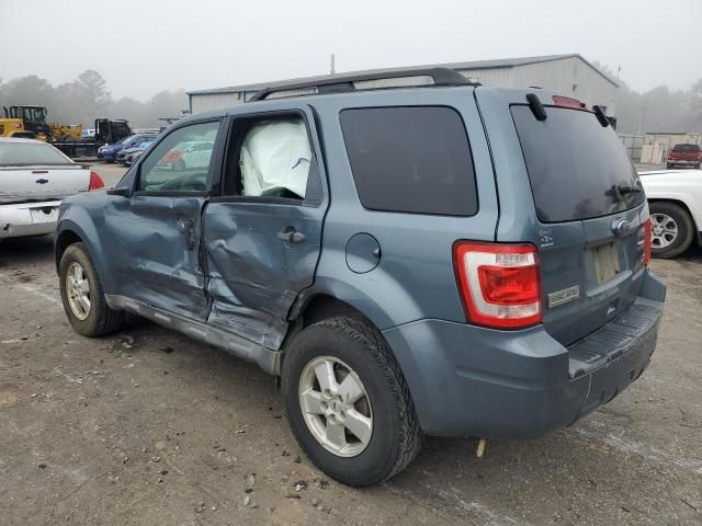 2010 Ford Escape XLT