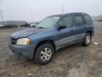 2001 Mazda Tribute DX