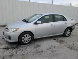 Toyota salvage cars for sale: 2011 Toyota Corolla Base