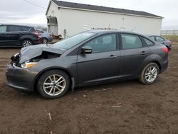 Ford Focus se salvage cars for sale: 2016 Ford Focus SE