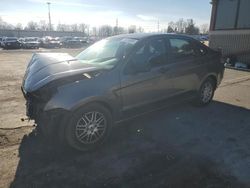 2009 Ford Focus SE en venta en Fort Wayne, IN