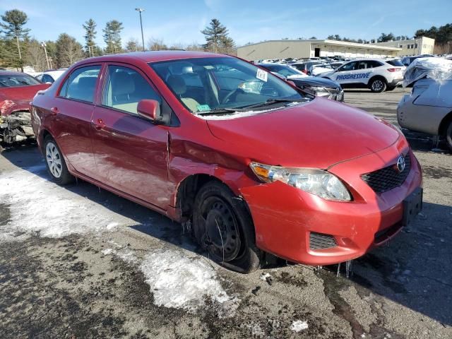 2010 Toyota Corolla Base