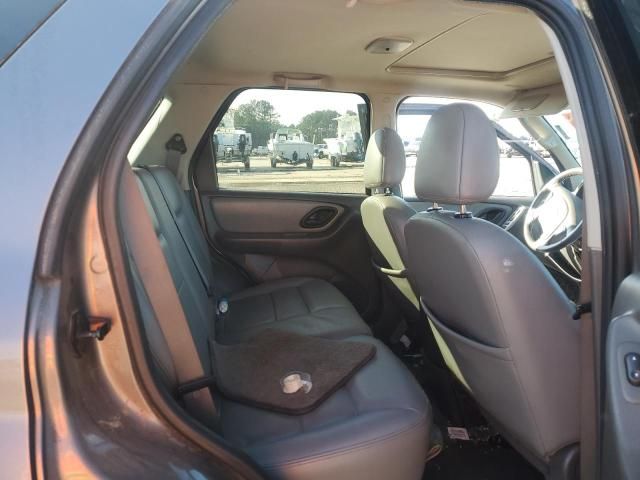 2006 Ford Escape XLT