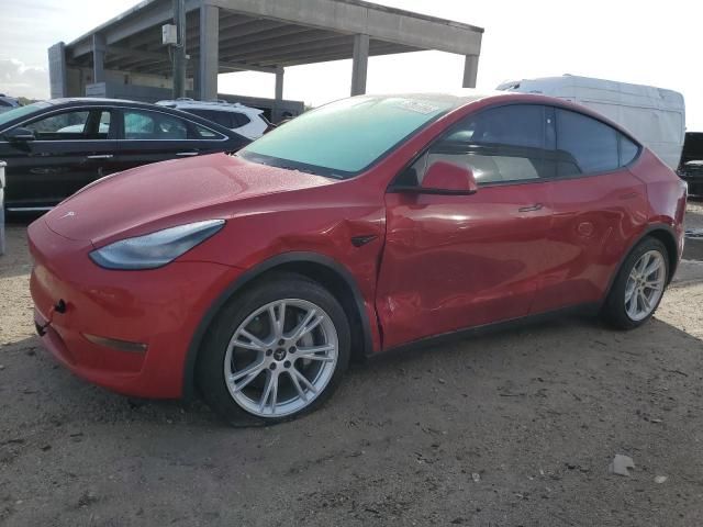 2020 Tesla Model Y