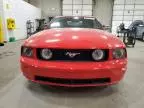 2006 Ford Mustang GT