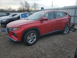 Salvage cars for sale at Chicago Heights, IL auction: 2023 Hyundai Tucson SE