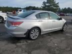 2011 Honda Accord EX