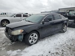 Chevrolet salvage cars for sale: 2010 Chevrolet Malibu 1LT