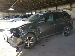 Salvage cars for sale at Phoenix, AZ auction: 2018 Toyota Rav4 Adventure