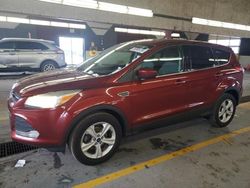 Ford Vehiculos salvage en venta: 2014 Ford Escape SE