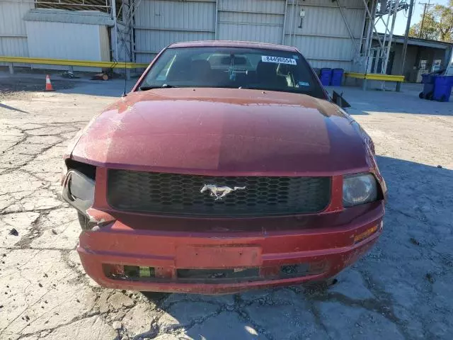 2005 Ford Mustang