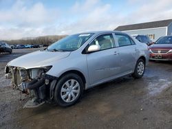 Salvage cars for sale from Copart Assonet, MA: 2010 Toyota Corolla Base