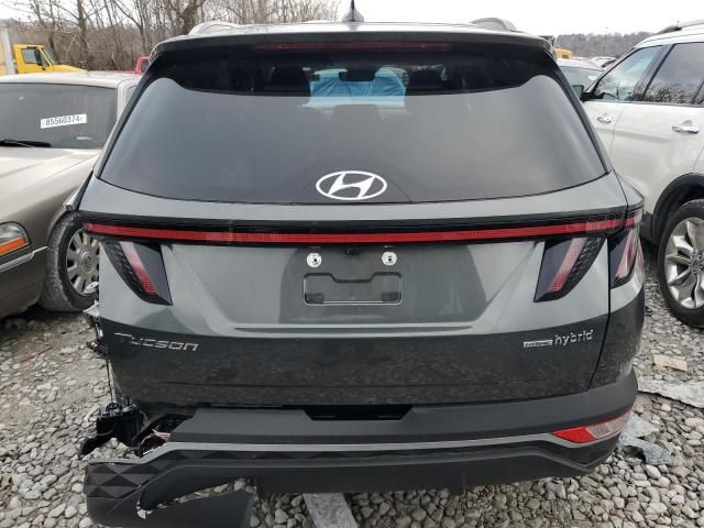 2023 Hyundai Tucson Blue