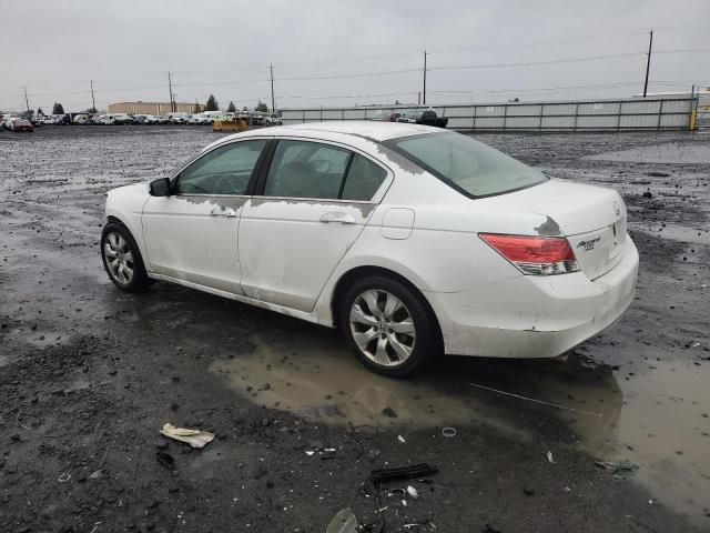 2010 Honda Accord EXL