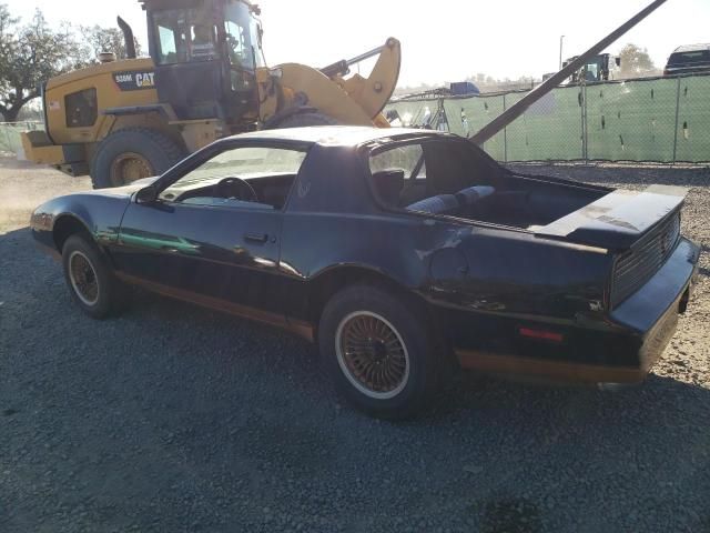 1983 Pontiac Firebird Trans AM