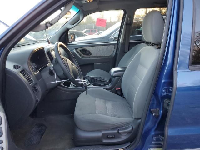 2007 Ford Escape XLT