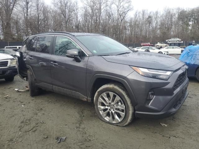 2024 Toyota Rav4 XLE Premium