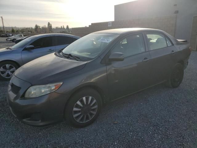 2010 Toyota Corolla Base