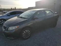 2010 Toyota Corolla Base en venta en Mentone, CA