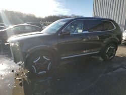 KIA salvage cars for sale: 2024 KIA Telluride EX