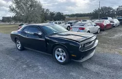 Dodge Vehiculos salvage en venta: 2009 Dodge Challenger SE