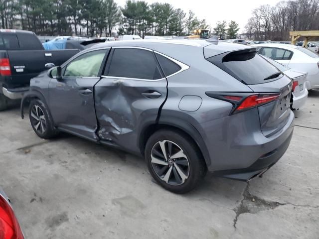 2021 Lexus NX 300 Base